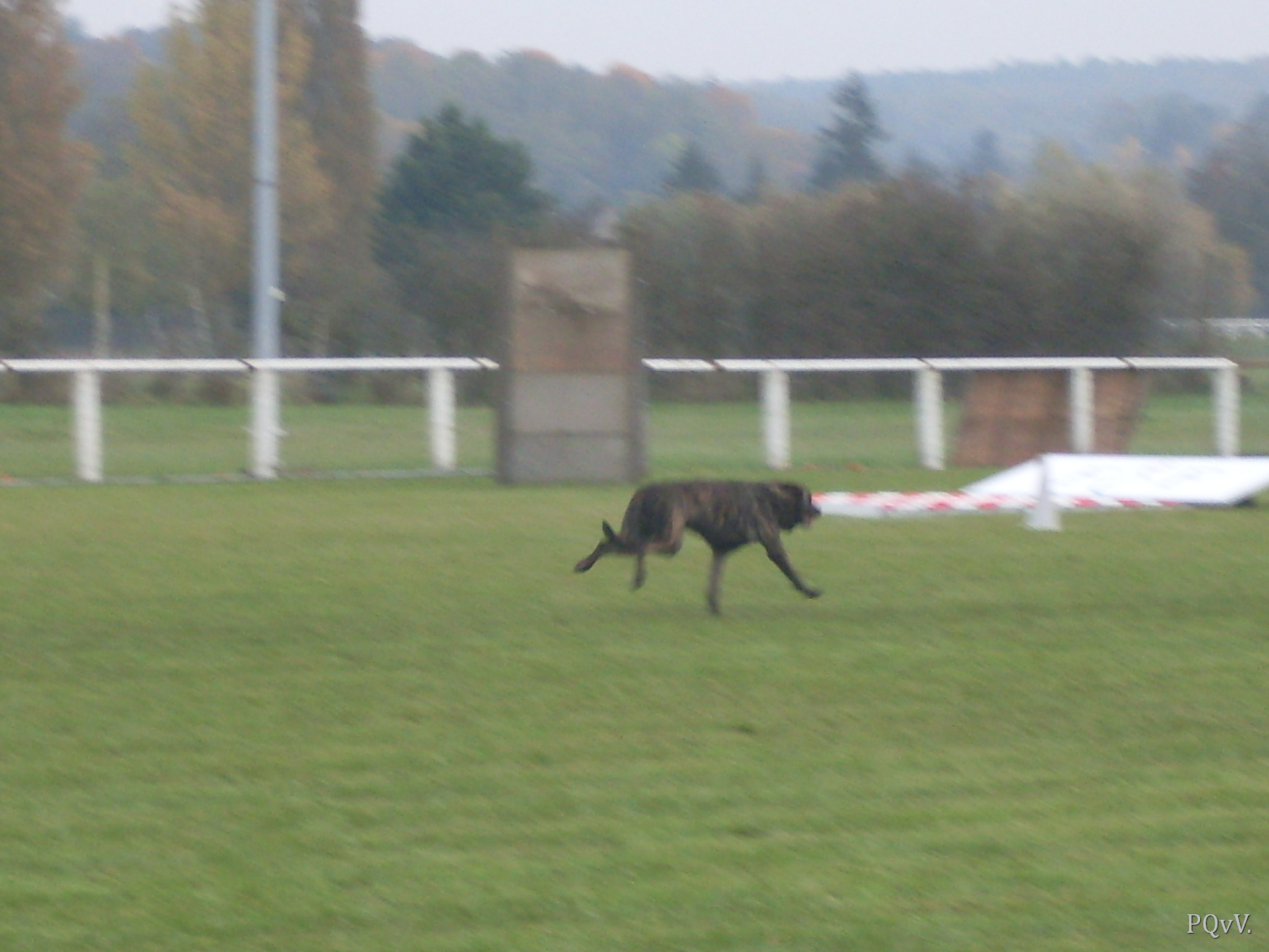 Eros des Crocs d’Olympe 